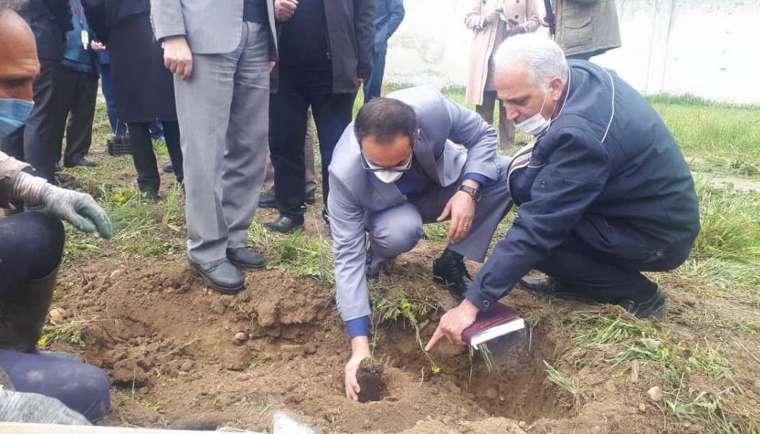 آئین کاشت نهالهای بارور شده فندق و بلوط به قارچ ترافل در استان گلستان برگزار شد